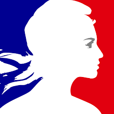 Ministère des armées - DIRISI logo